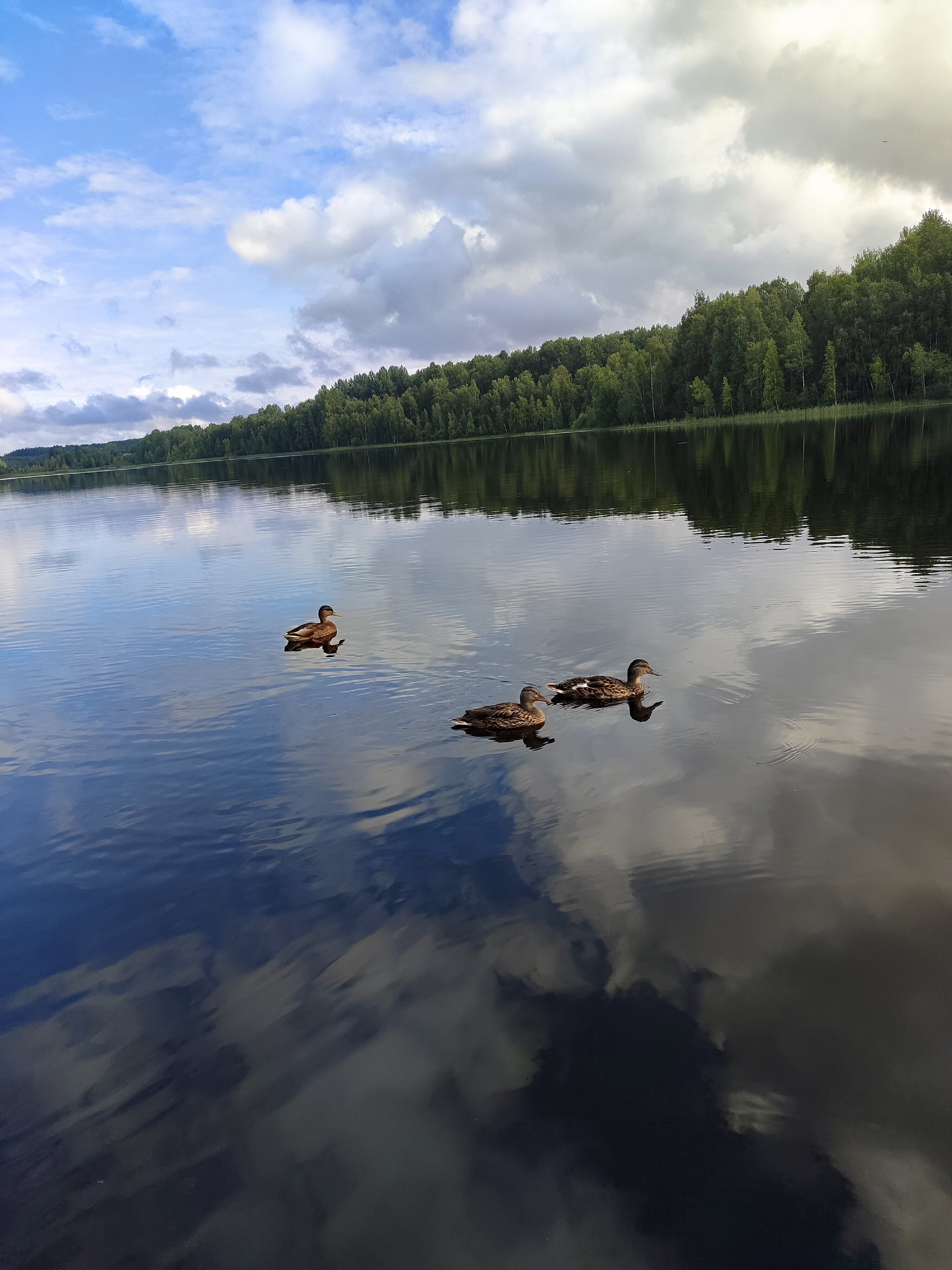 Фото Марциальные ключи