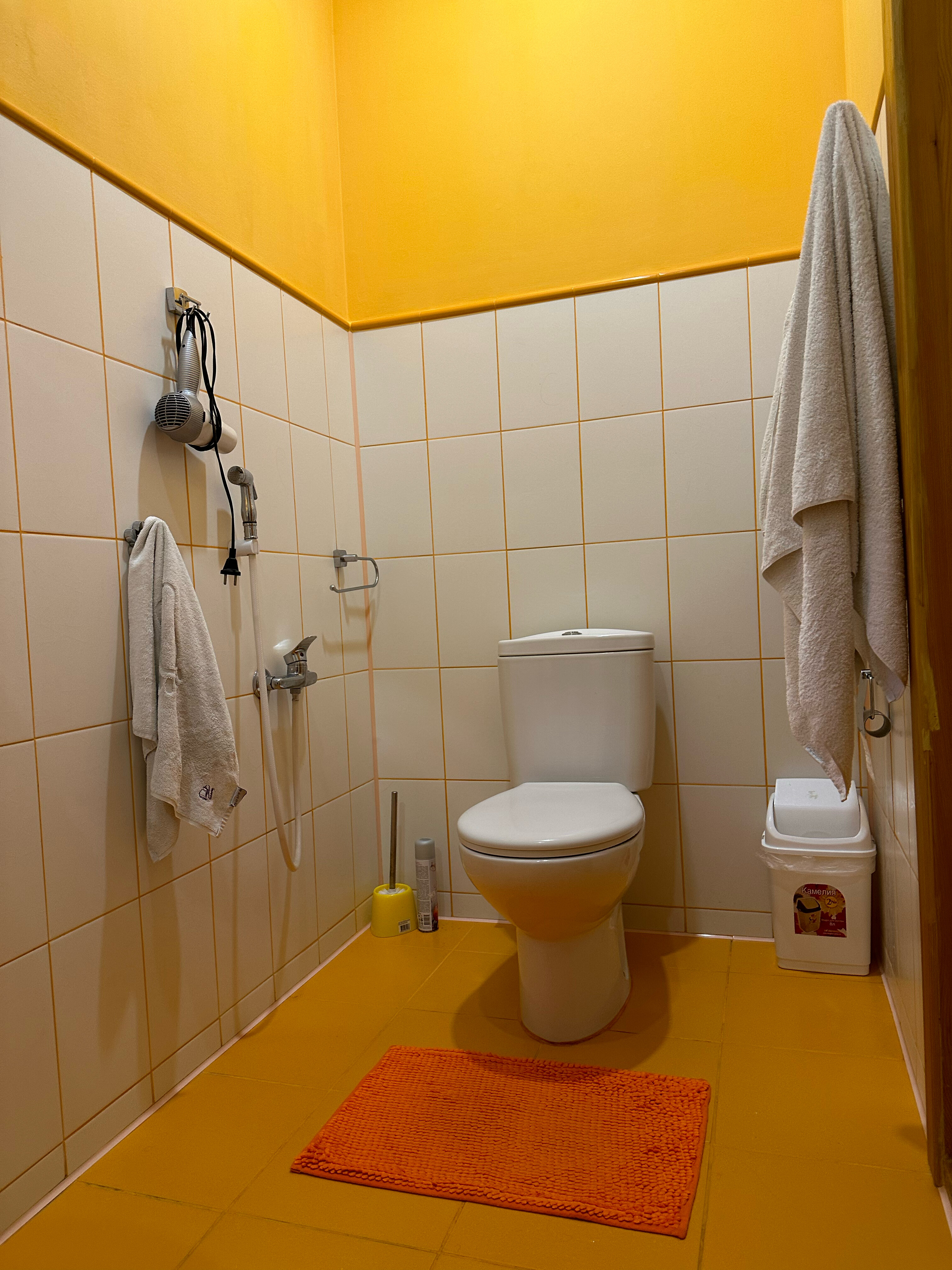 Фото Горная Лаванда