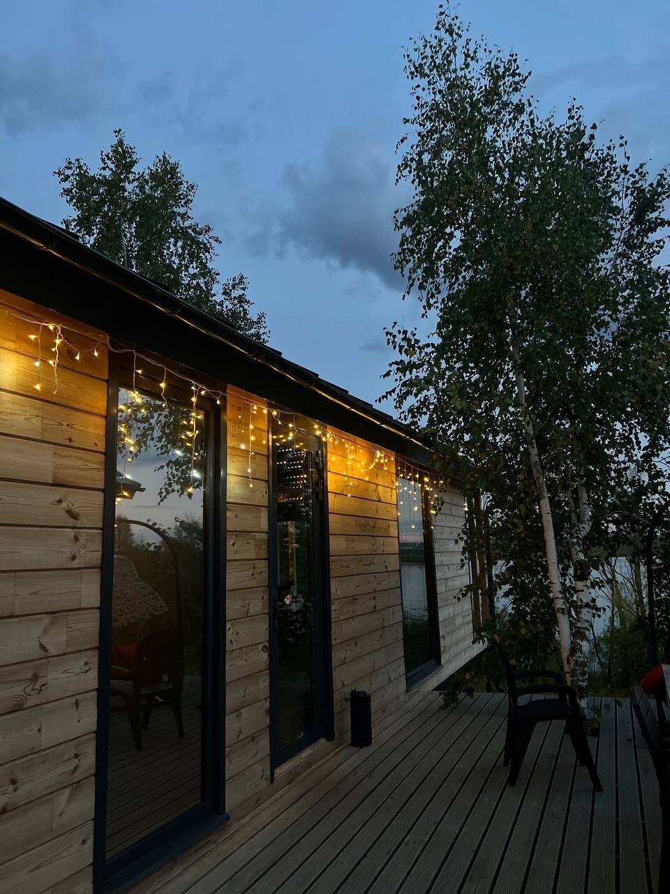 Фото Бобры и Утки