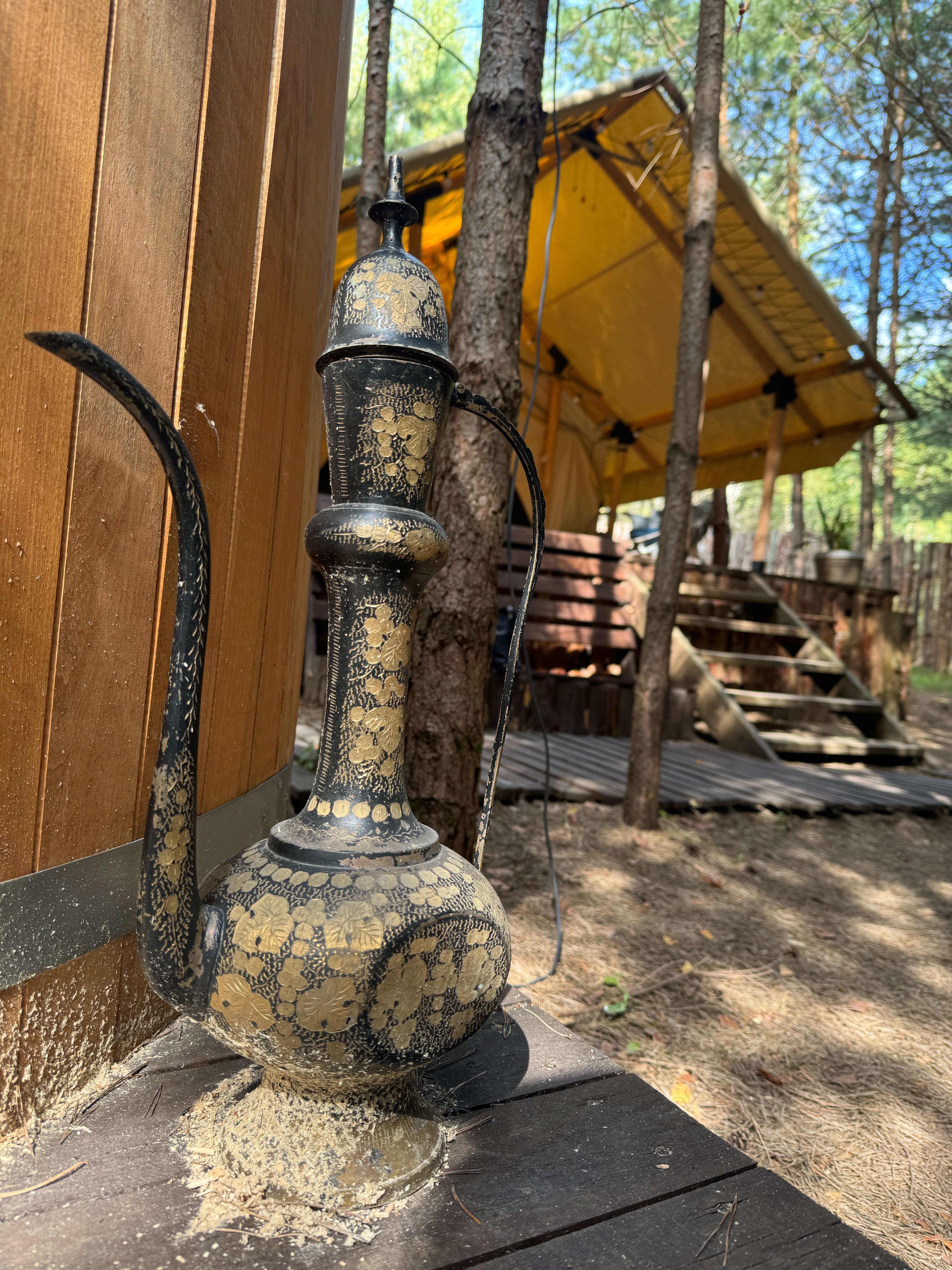 Фото О, Дни в Лесу