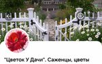 ЦветокУДачи (Shushary Settlement, Moskovskoe Highway, 258к2), garden center