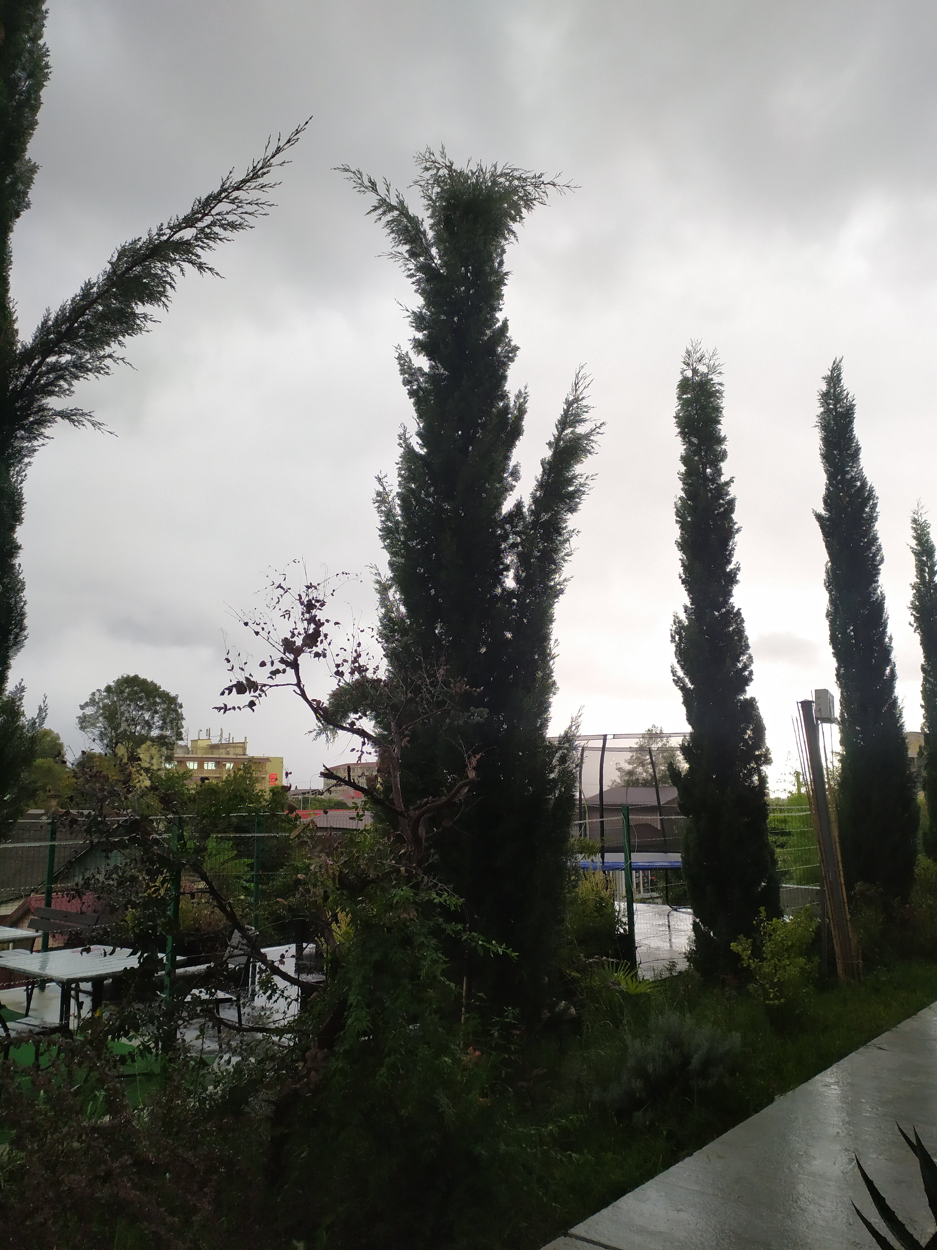 Фото Горландия