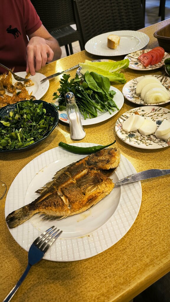 Restaurant Olgun Balikcilik, Manavgat, photo