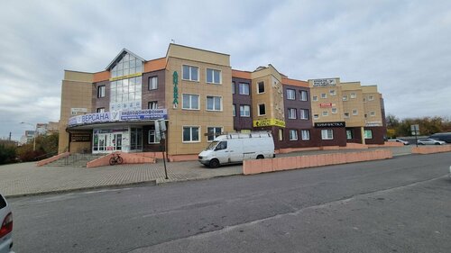 Реалити-шоу Sex Truth and Video MTV