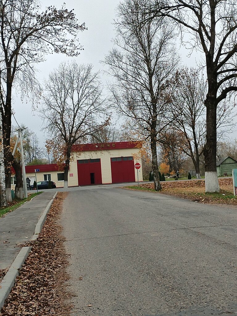 Grocery Продукты, Vitebsk District, photo
