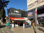 Balıkçı Erdal (İstanbul, Uskudar, Bulgurlu Mah., İzzettinbey Sok., 45B) ، الأسماك والمأكولات البحرية