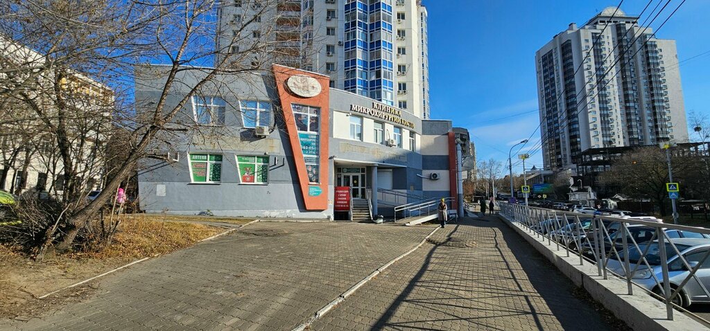 Anti-café Помурррчим, Khabarovsk, photo
