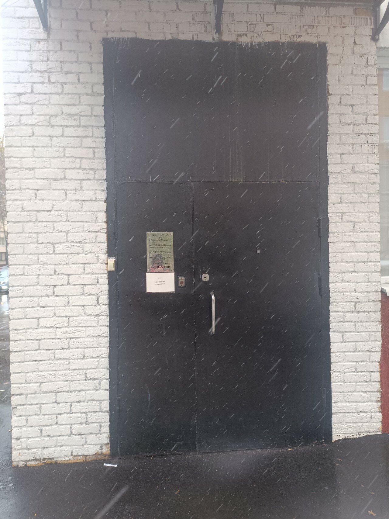 Фото Брусника Амурская