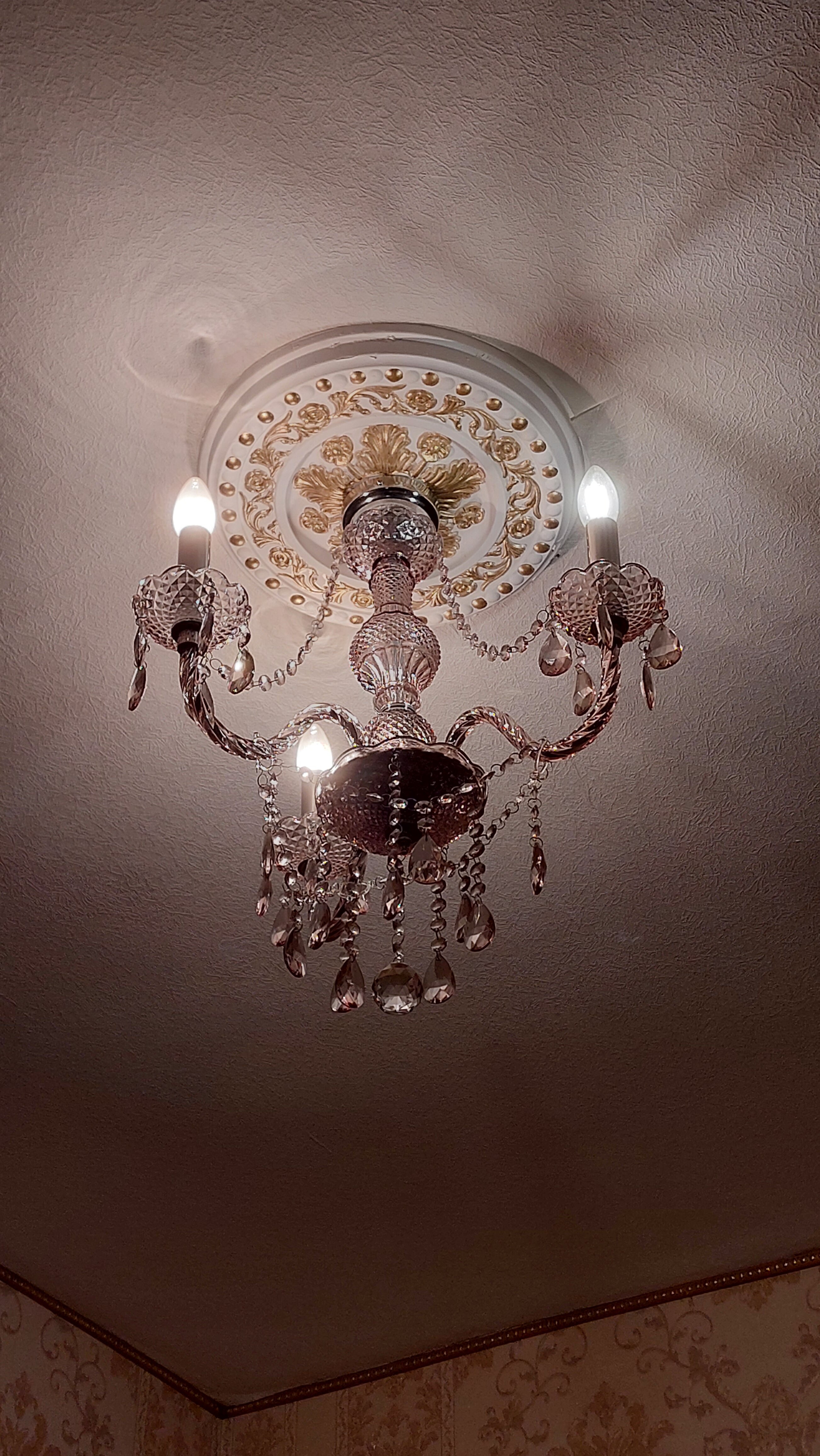 Фото Петроградская