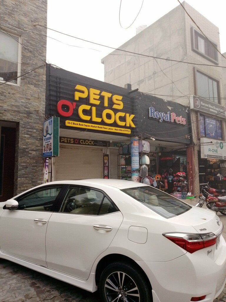 Pet shop Pets o clock, Lahore, photo