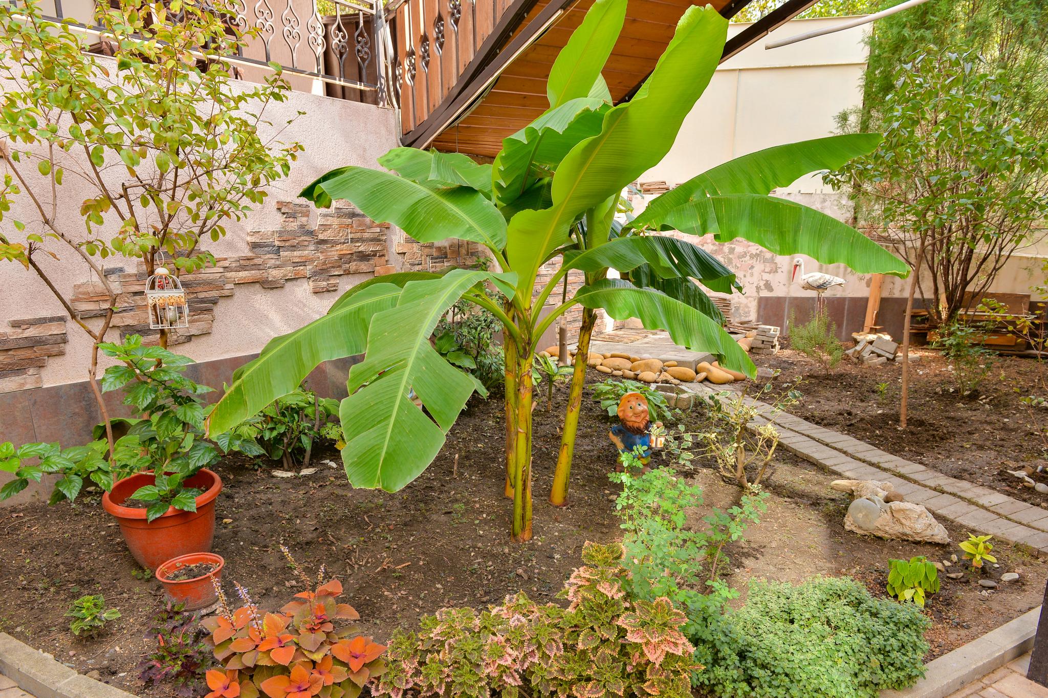 Фото Наш дом