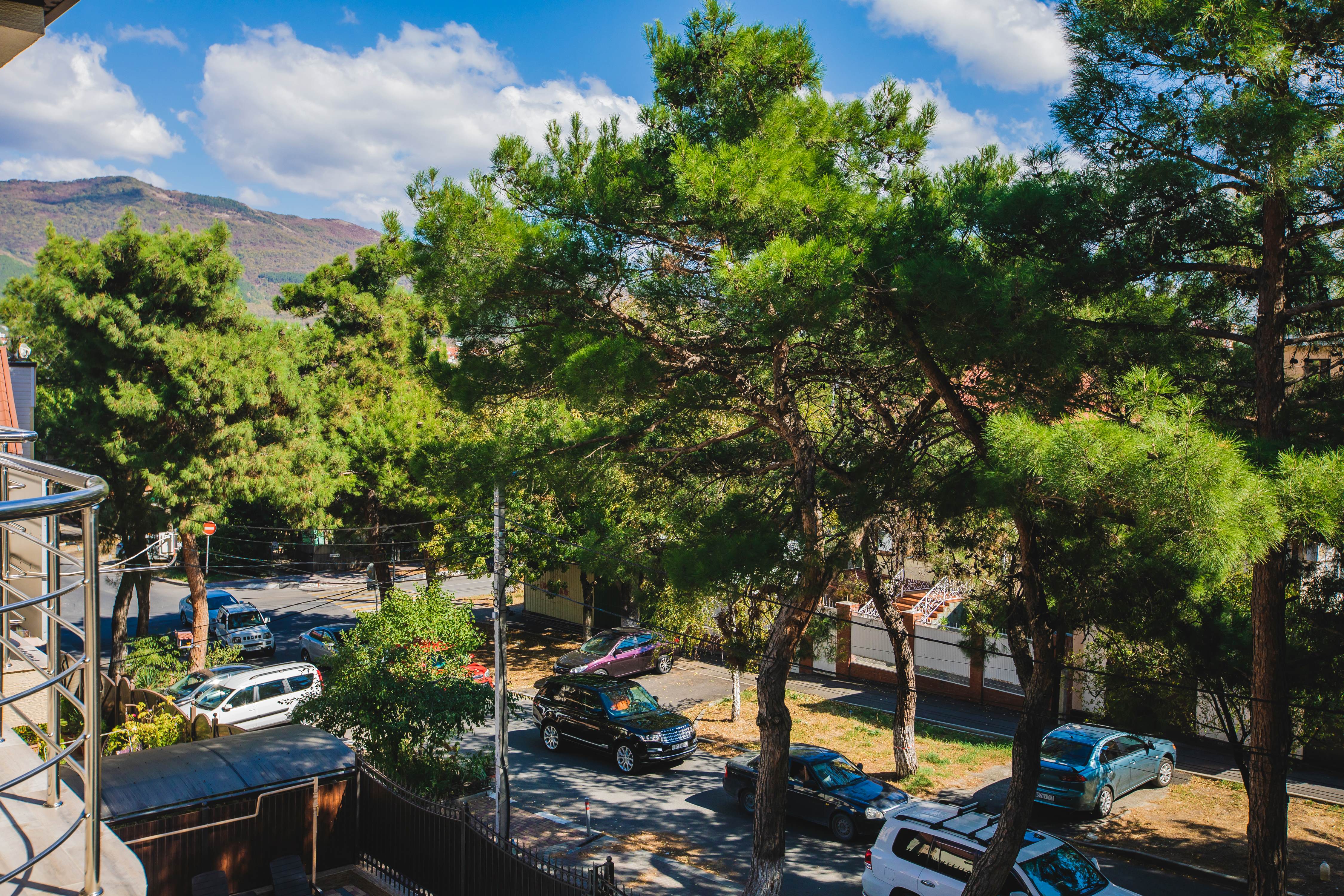 Фото Анжелика