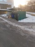 Trash and garbage disposal area (Sverdlovsk Region, Yekaterinburg, Michurina Street), trash and garbage disposal area