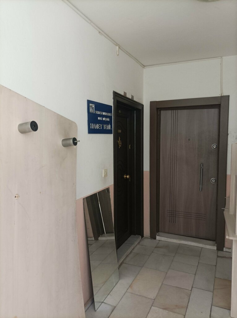 Tax consultants Haney Tenil, Antalya, photo