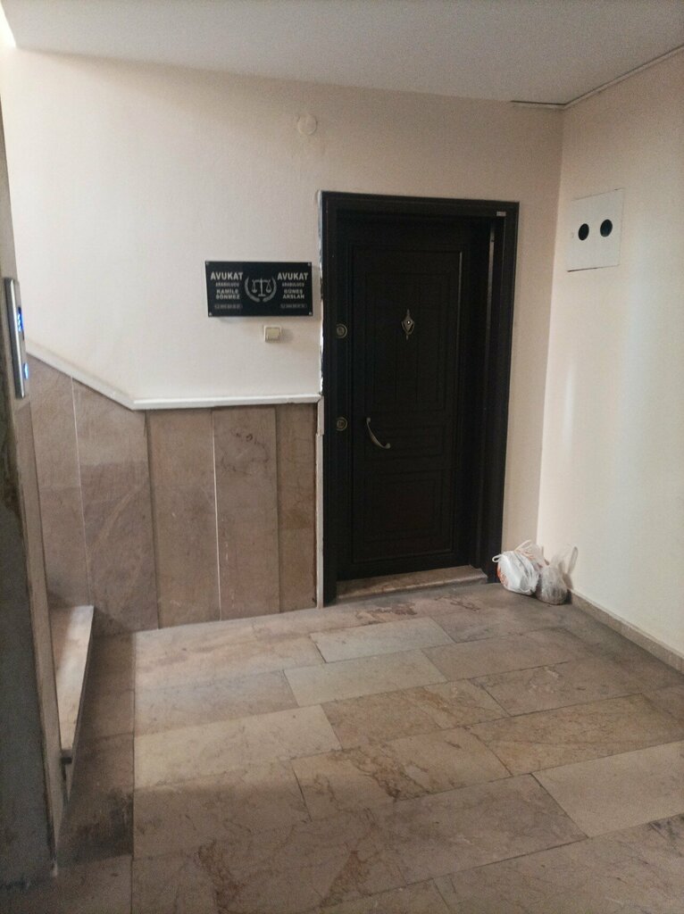 Attorney Gunes Aslan, Antalya, photo