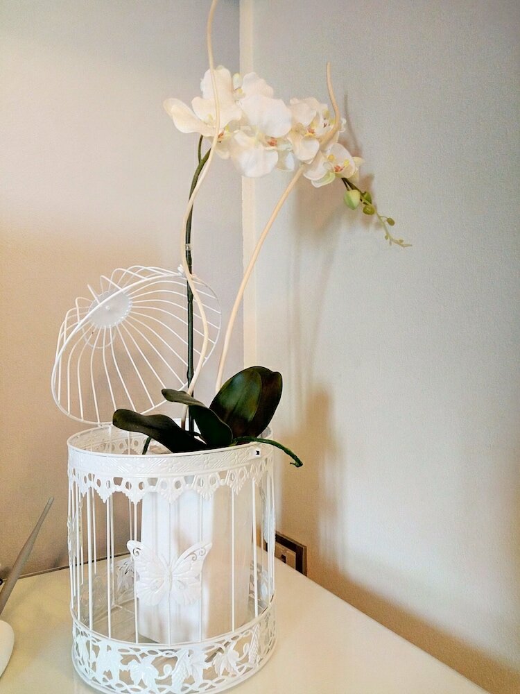 Фото Hotel Bonotto