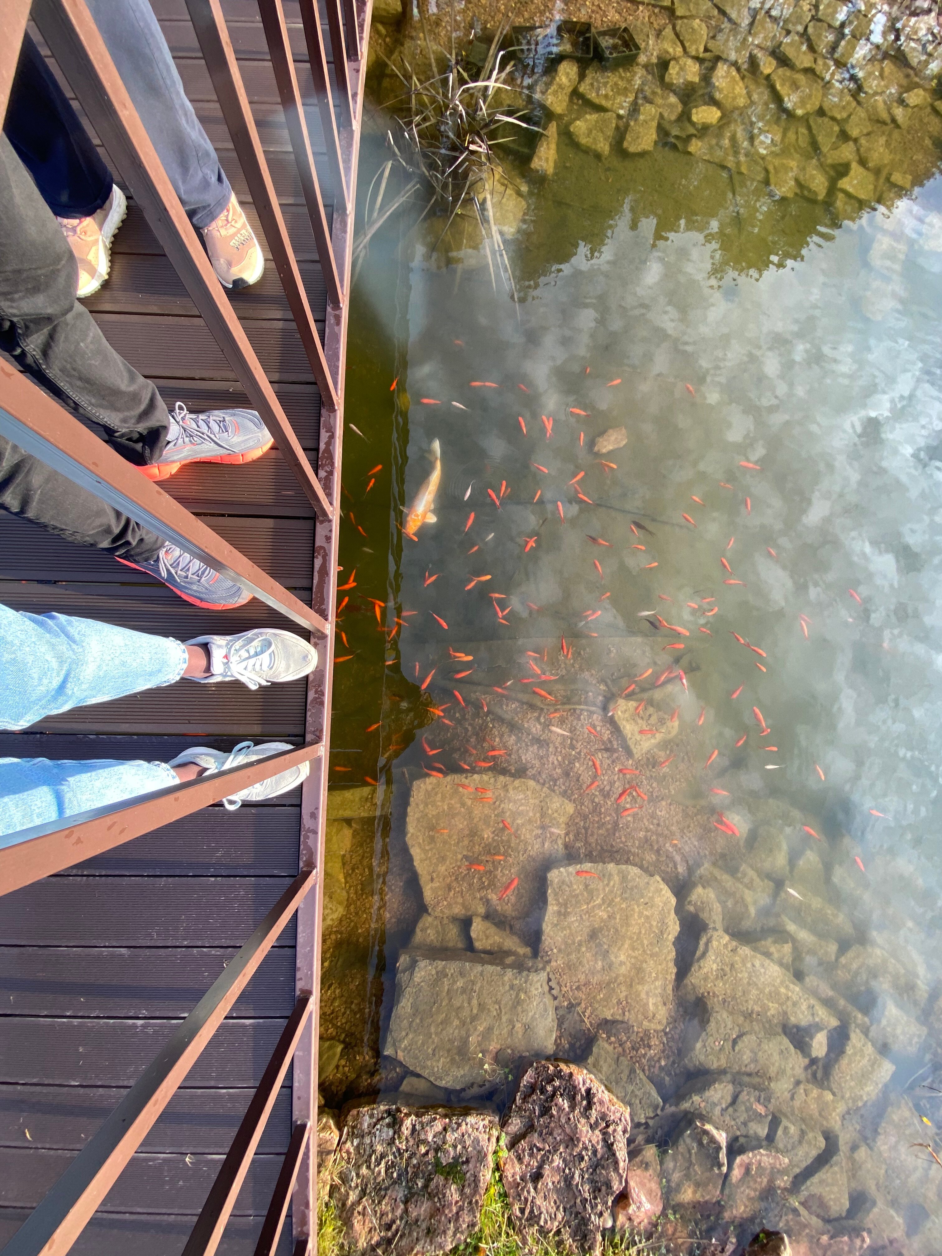 Фото Хуторок