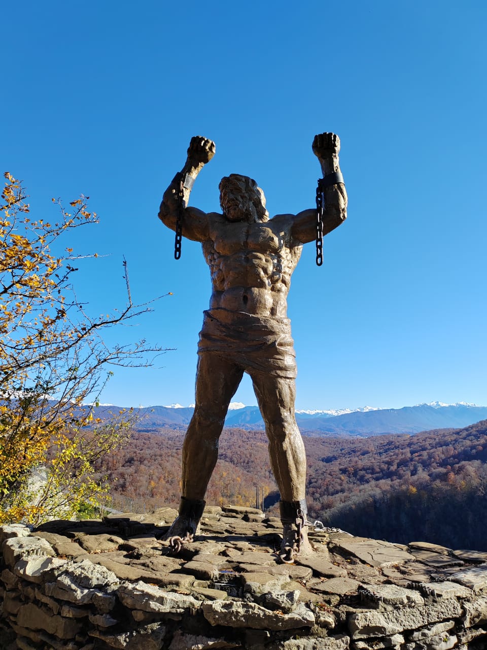 Фото Зелёная роща