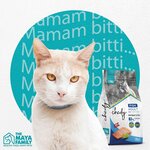 Maya Family Pet (Istanbul, Bagcilar, Mahmutbey Neighborhood, Tasocagi Frontage Road, 2) ، متجر للحيوانات الأليفة
