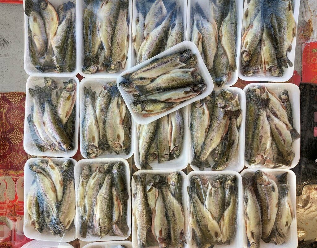 Restaurant Emin Trout Facilities, Uzundere, photo