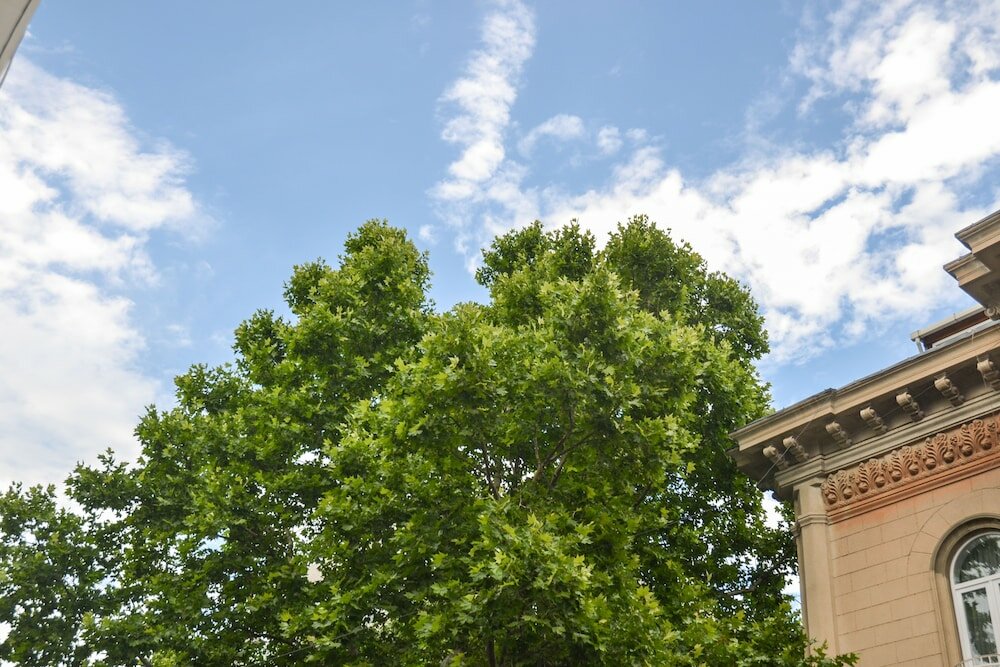 Фото Piccolo Casa Bella