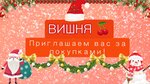 Vishnya (ulitsa Gagarina, 16), grocery