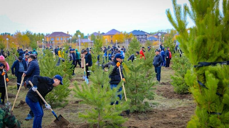 Insurance broker Урихтау Оперейтинг, Astana, photo