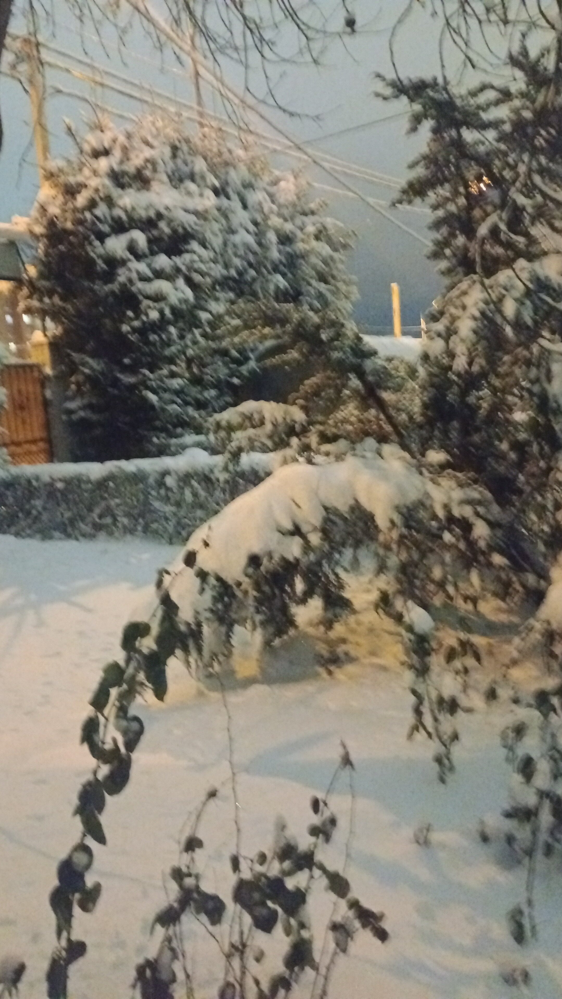 Фото Helen's Home