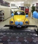 Garage 39 (Istanbul, Zeytinburnu, Sumer Neighborhood, 30/6th Street, 10), subasta de autos