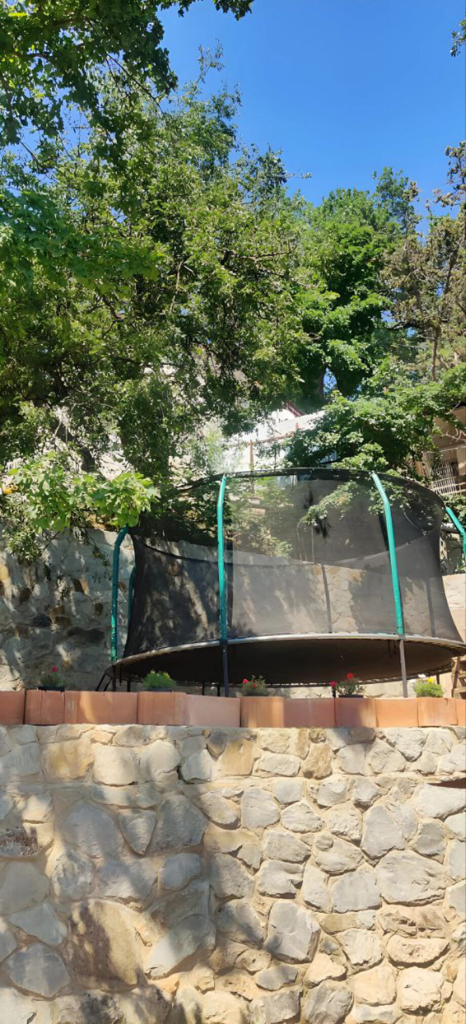 Фото Magic Kingdom