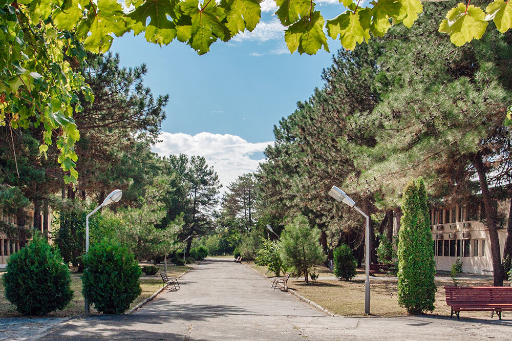 Фото Спутник