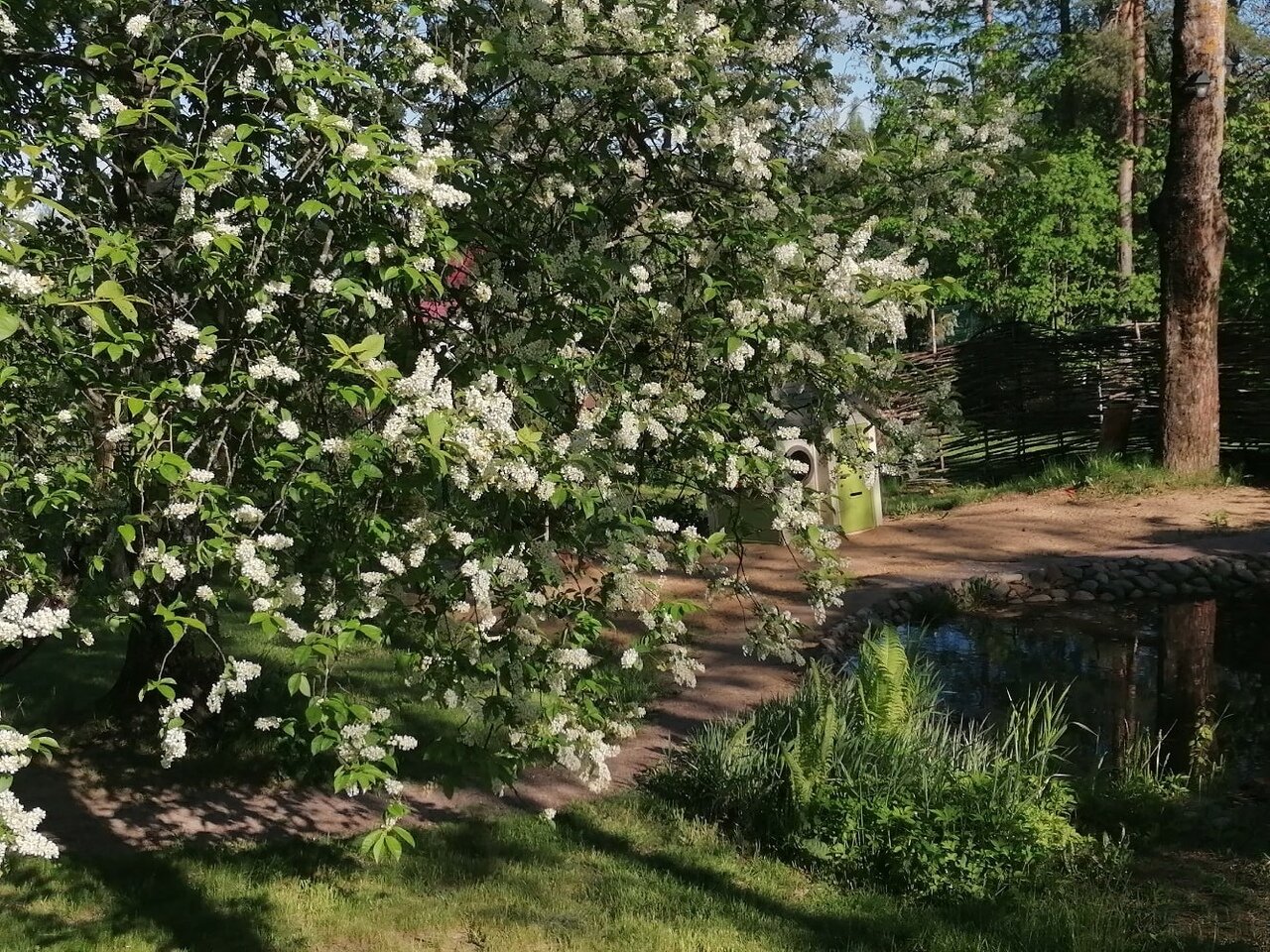 Фото Коттедж Рябиновка