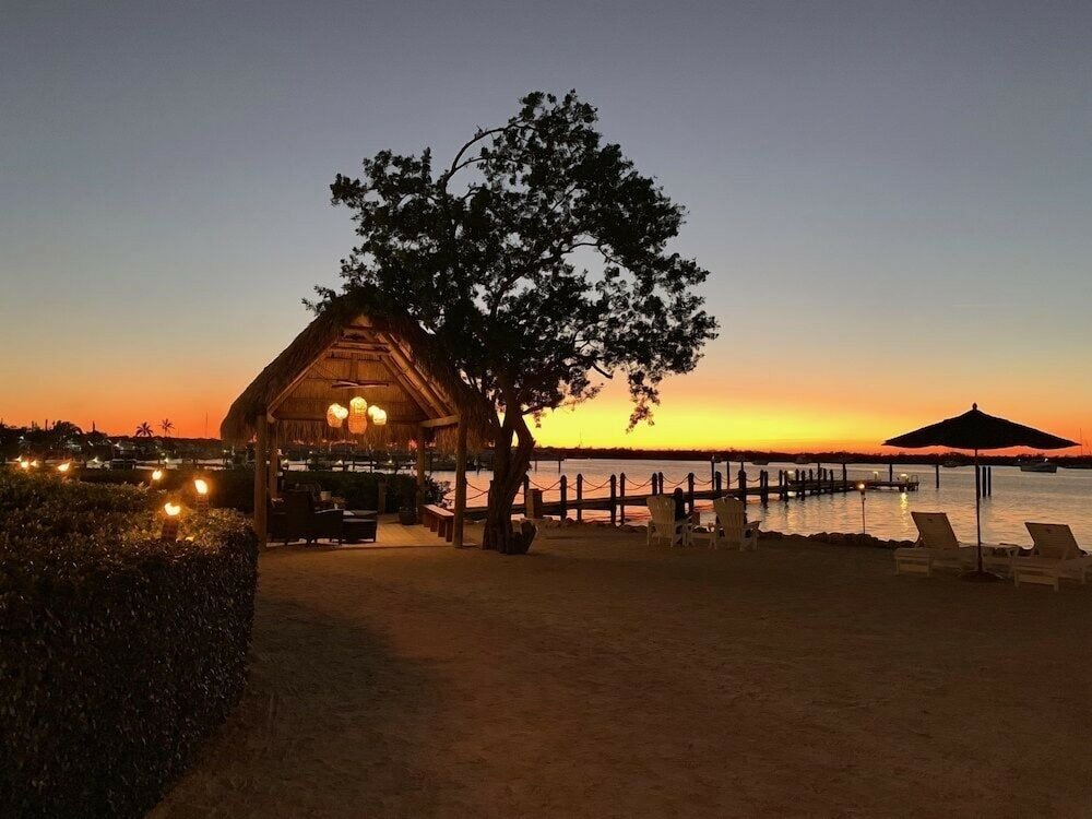 Фото Coconut Palm Inn