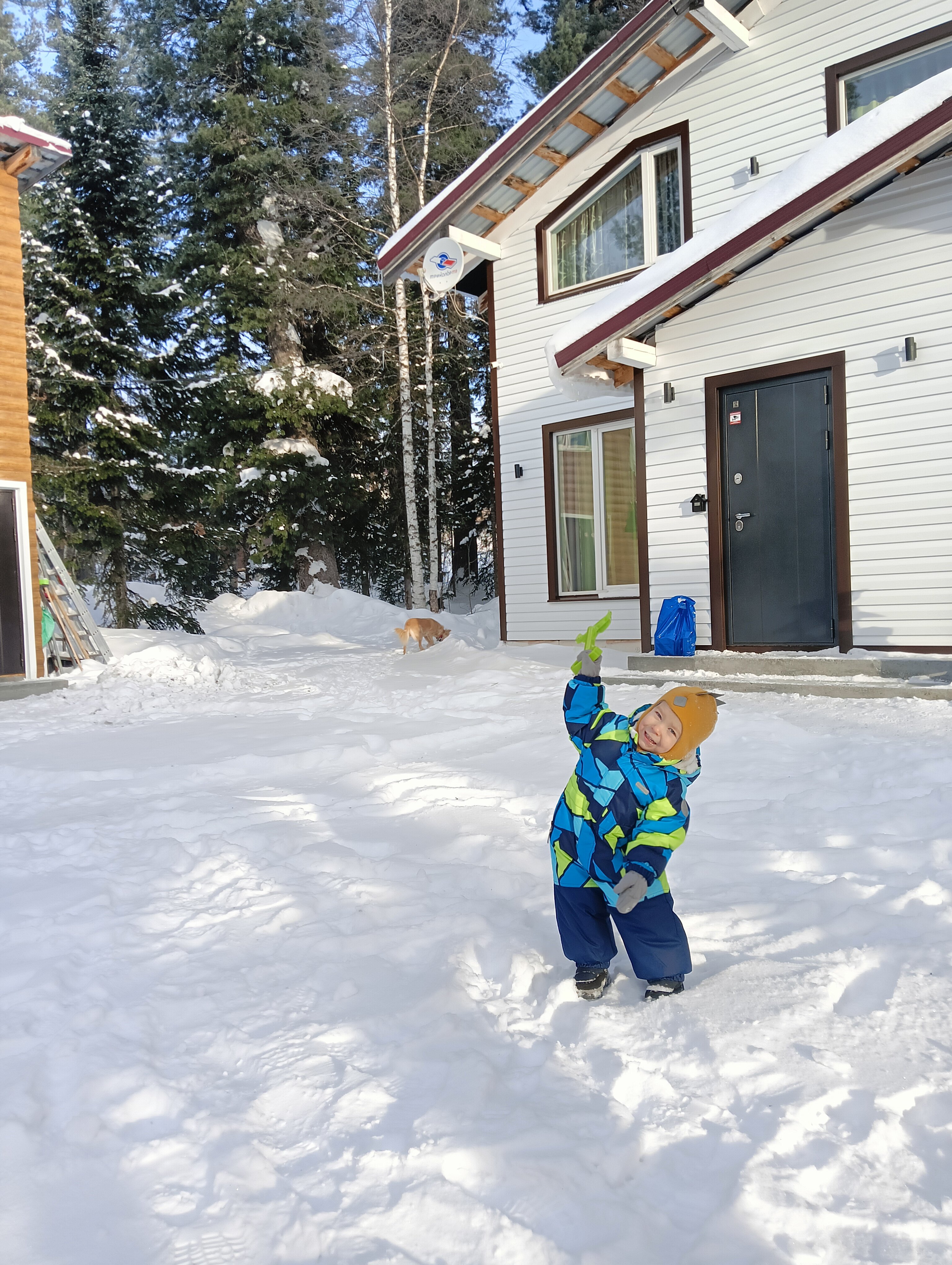 Фото Дом в кедрах