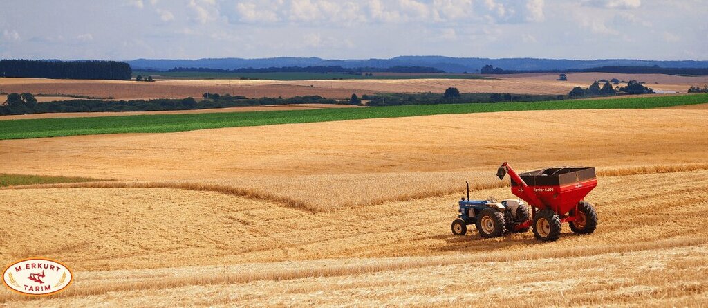 Agricultural machinery, equipment Erkurt Tarim, Bayindir, photo