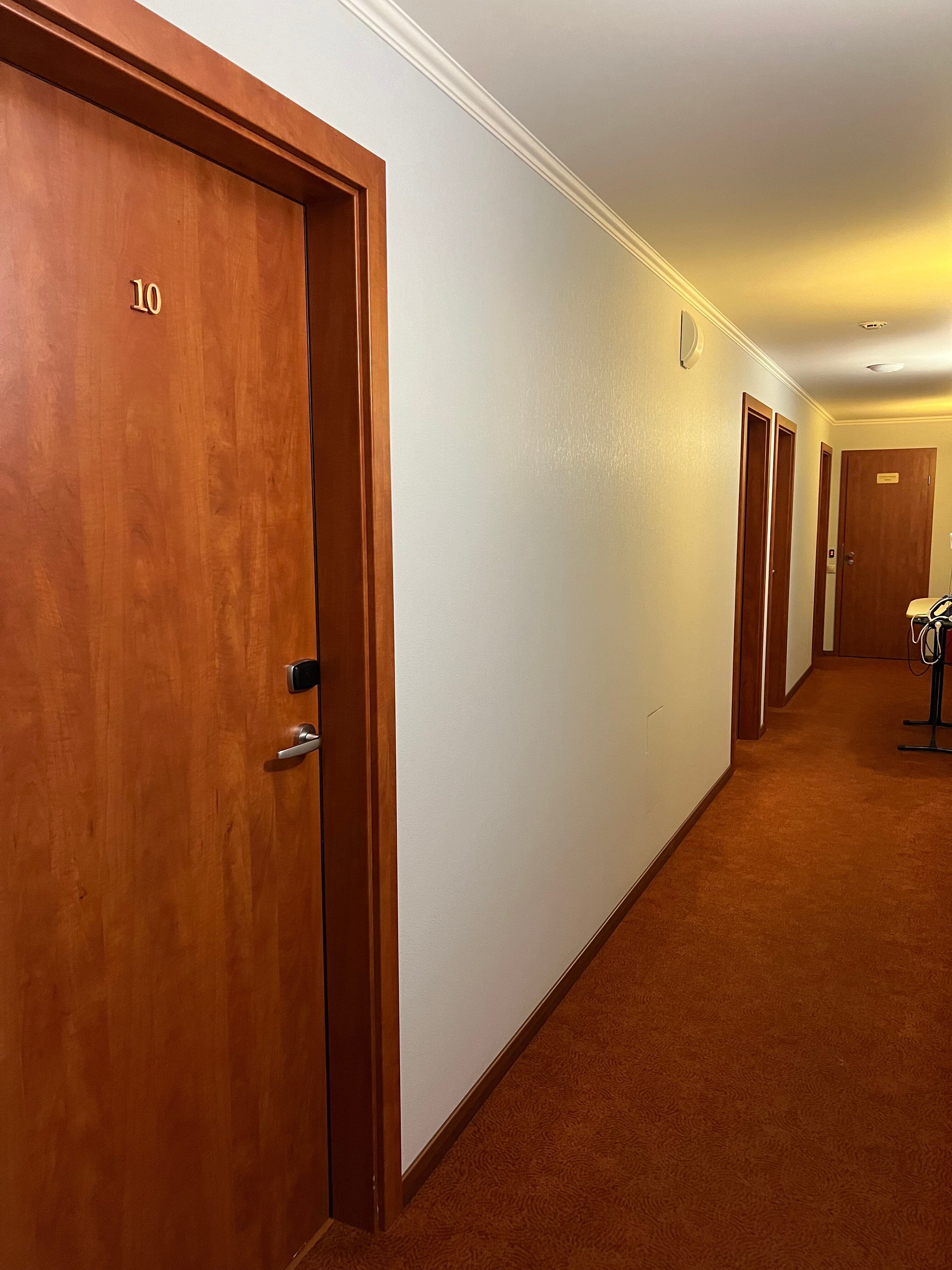 Фото Алегрия