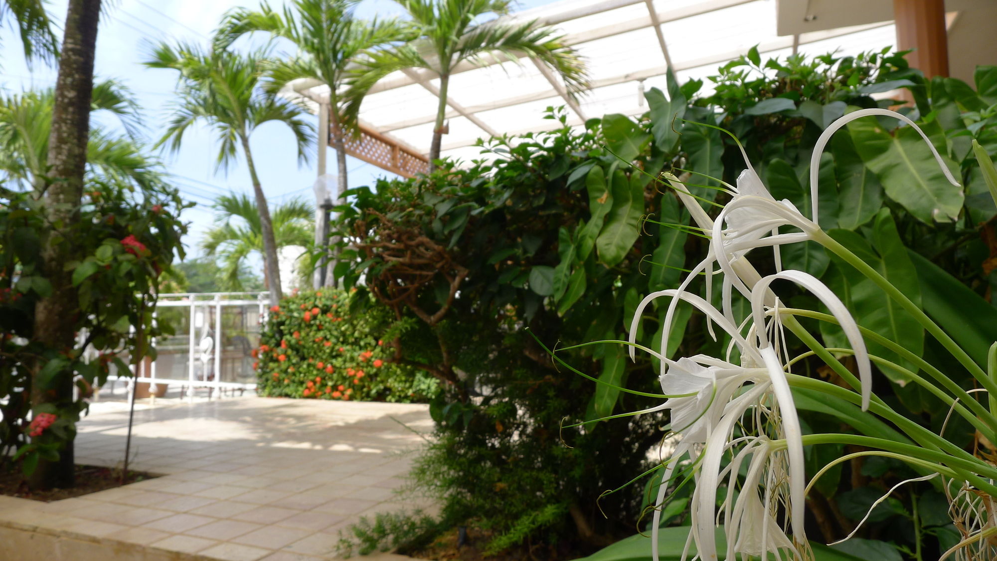 Фото Meridiana Residence