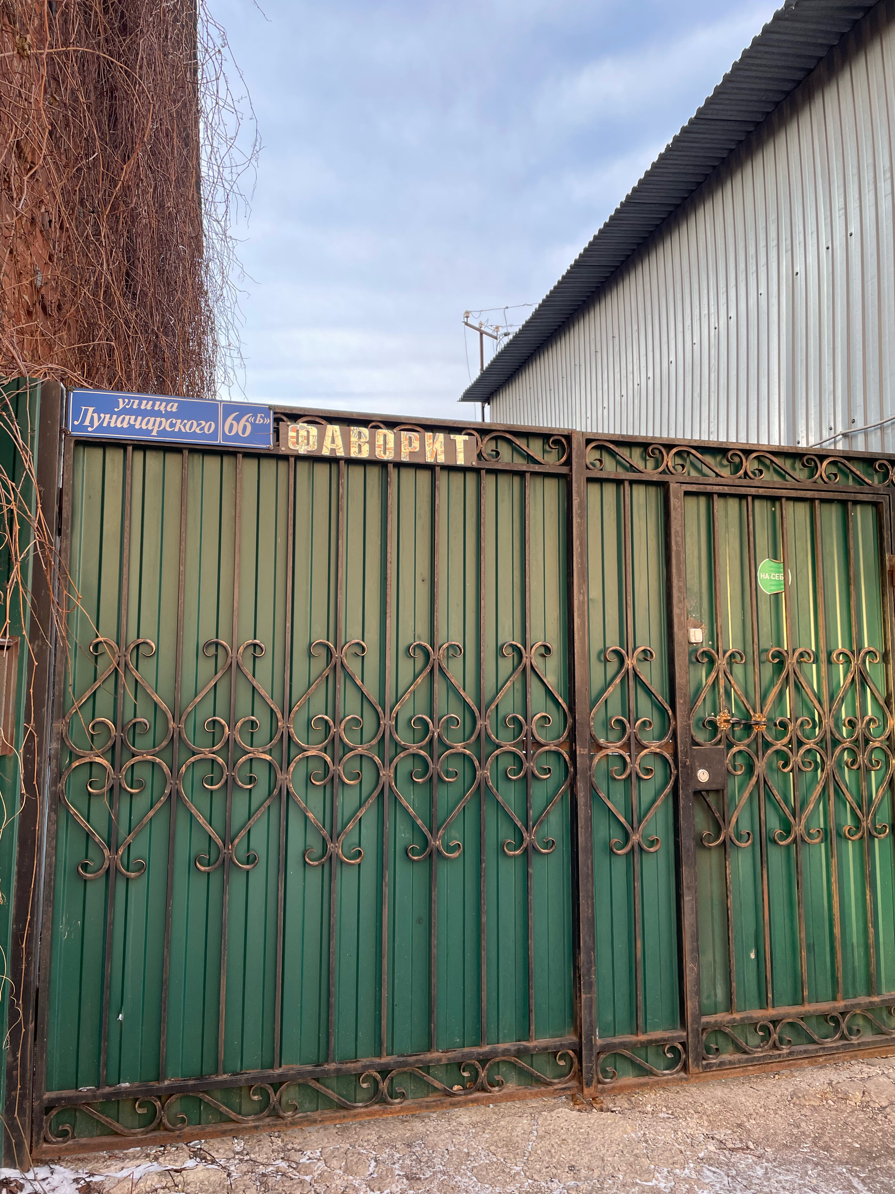 Фото Фаворит