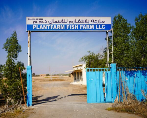 Fisheries, fish farming Al Jaraf Fisheries, Abu Dhabi, photo