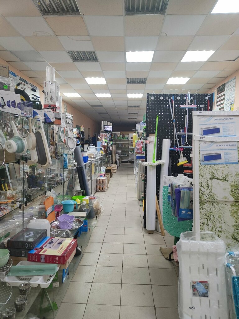 Household goods and chemicals shop Elektron, Alatyr, photo