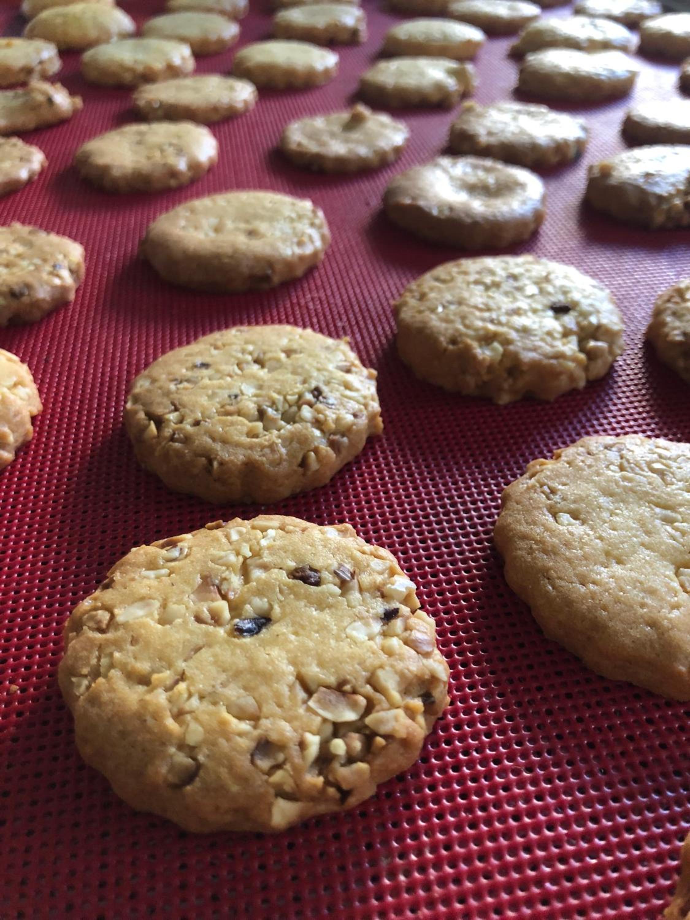 Фото Hotel Little