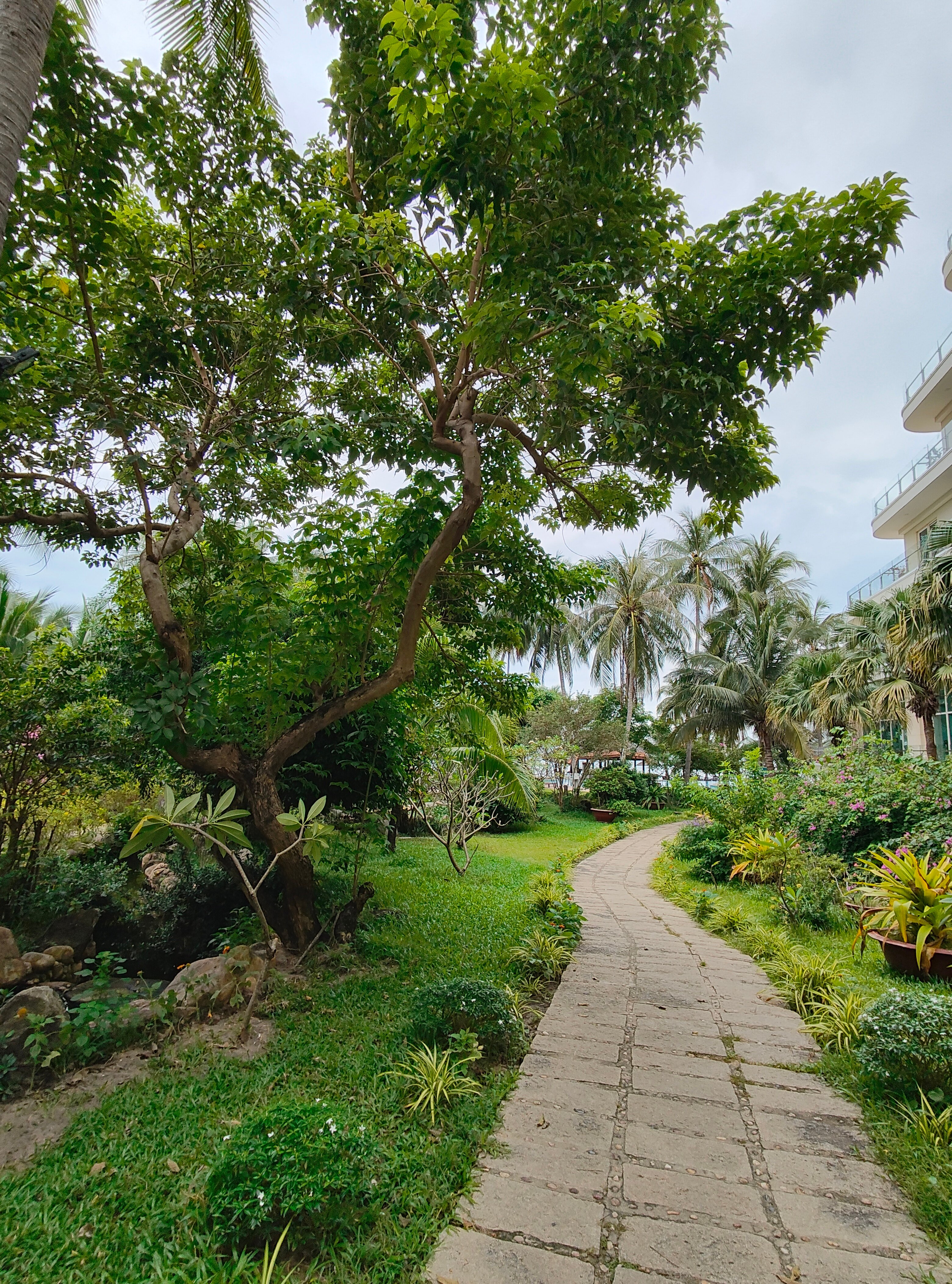 Фото Mường Thanh Holiday Mui Ne