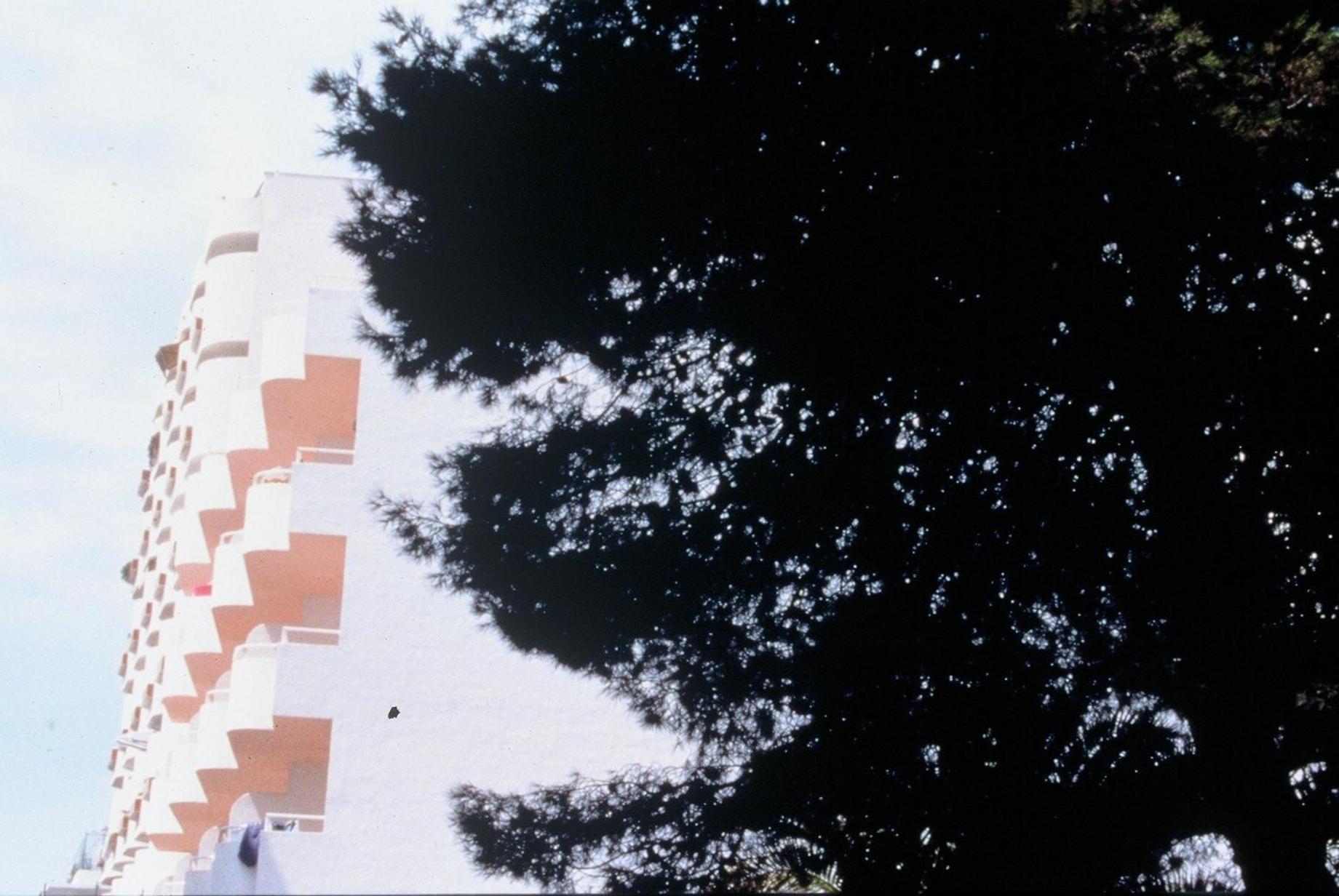 Фото Apartamentos Los Ángeles