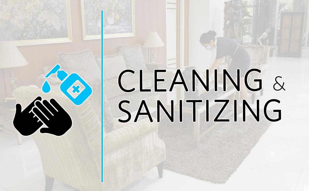 Фото Alicia Apartelle