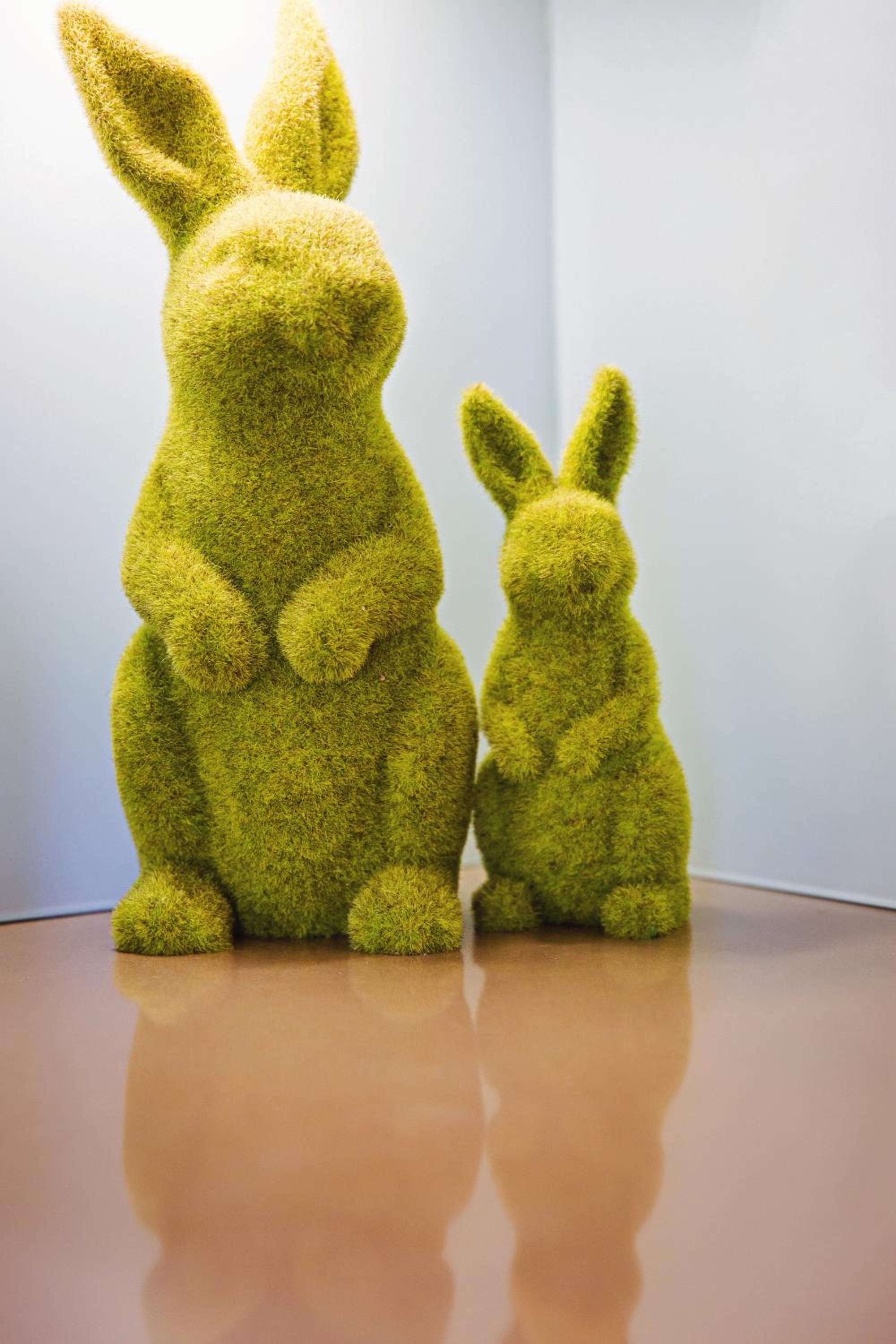 Фото The Granger