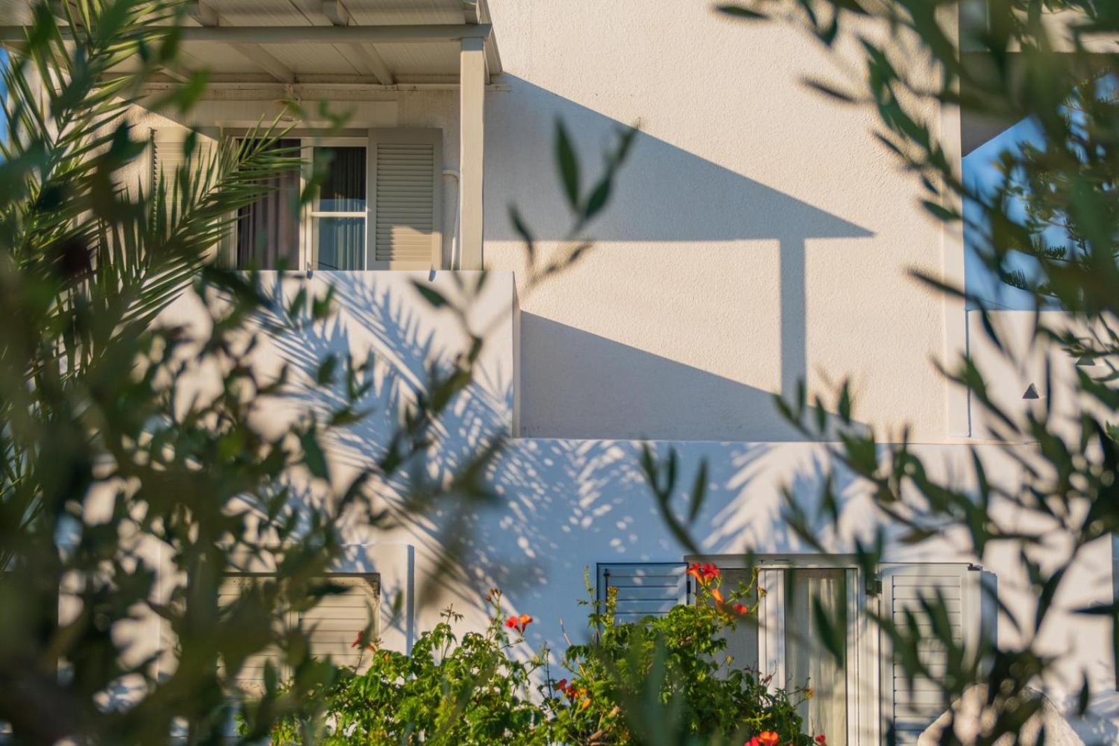 Фото Margarita Studios Ambelas