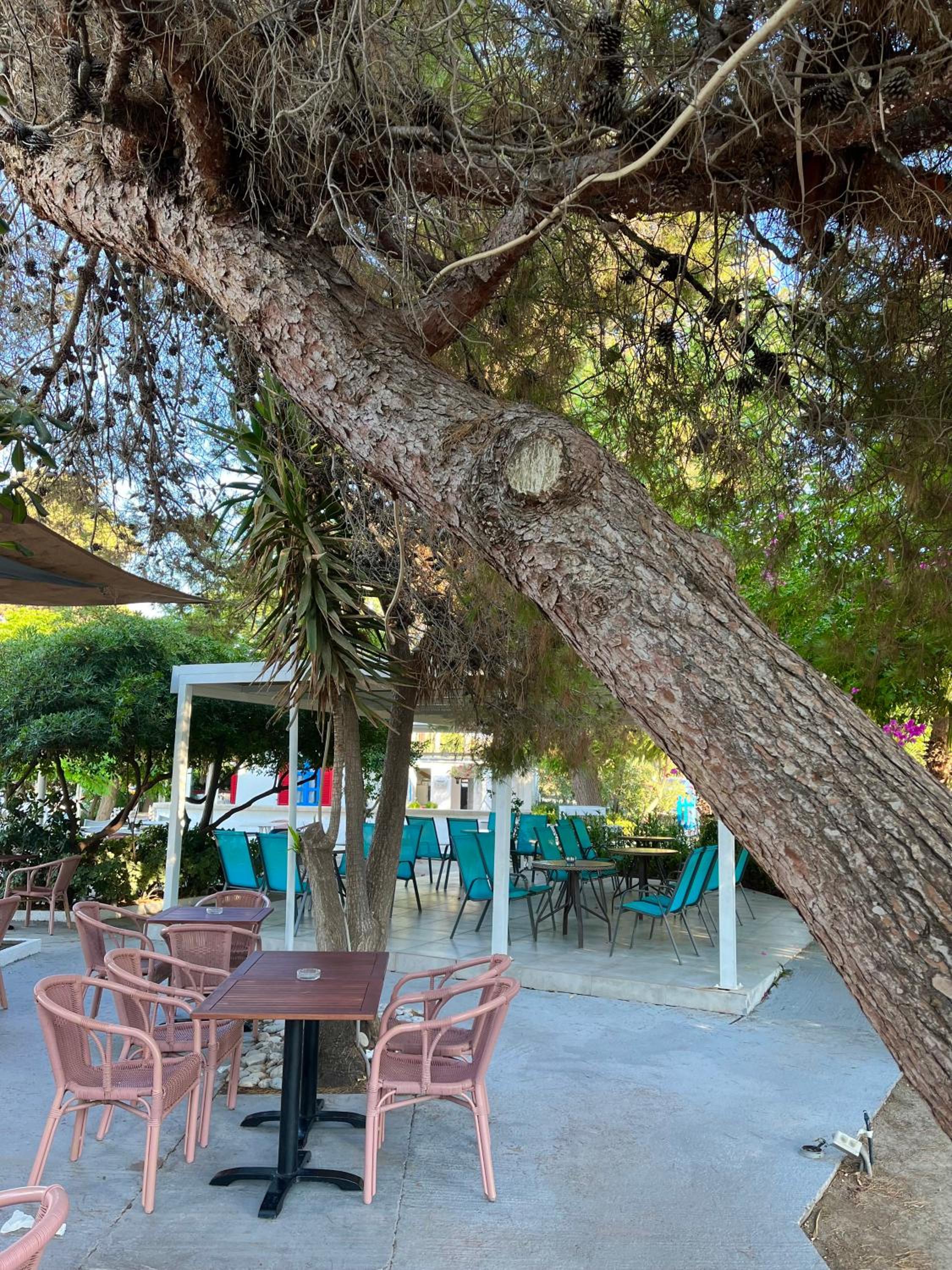 Фото Theodorou Beach