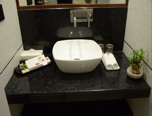 Гостиница Spree Hotel Jaipur