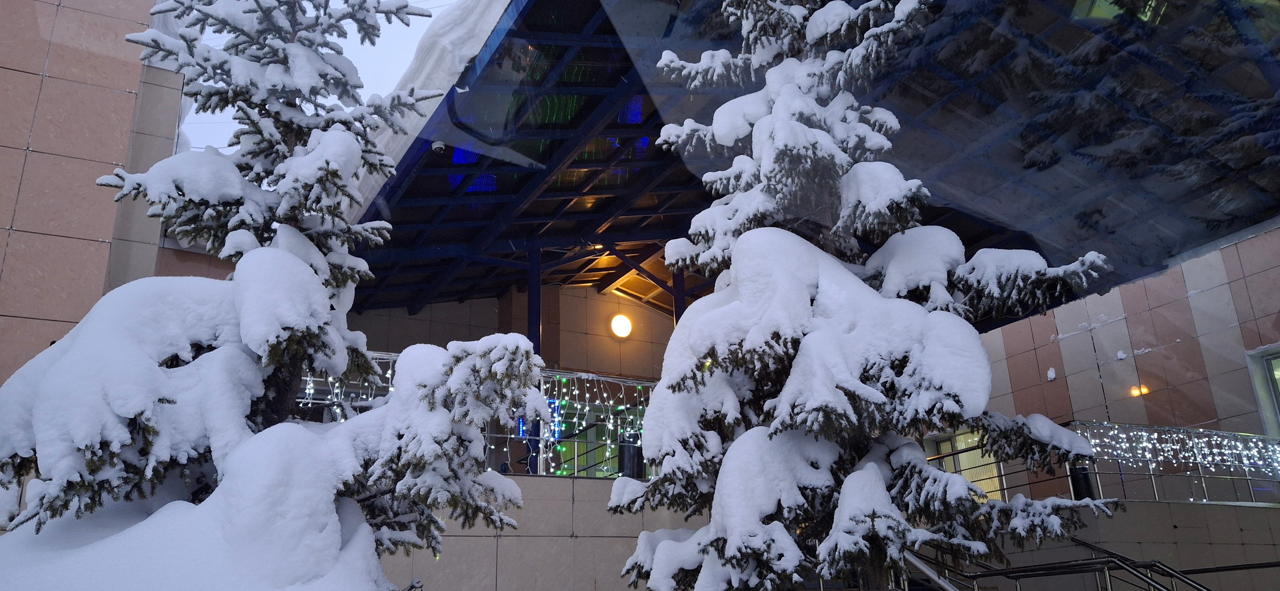 Фото Семь лиственниц