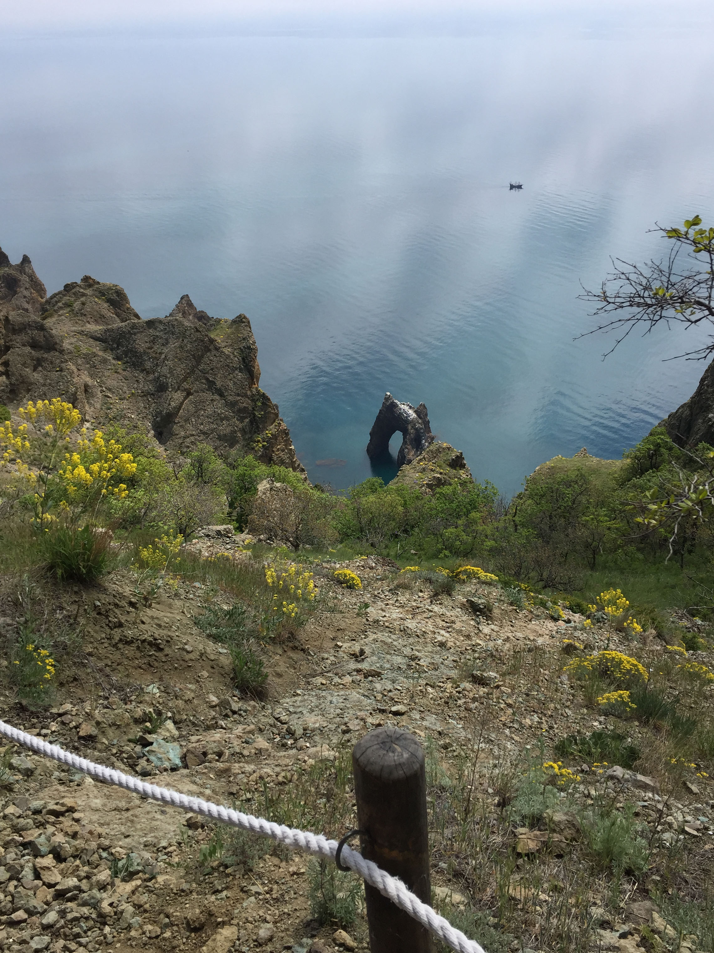 Фото Родина